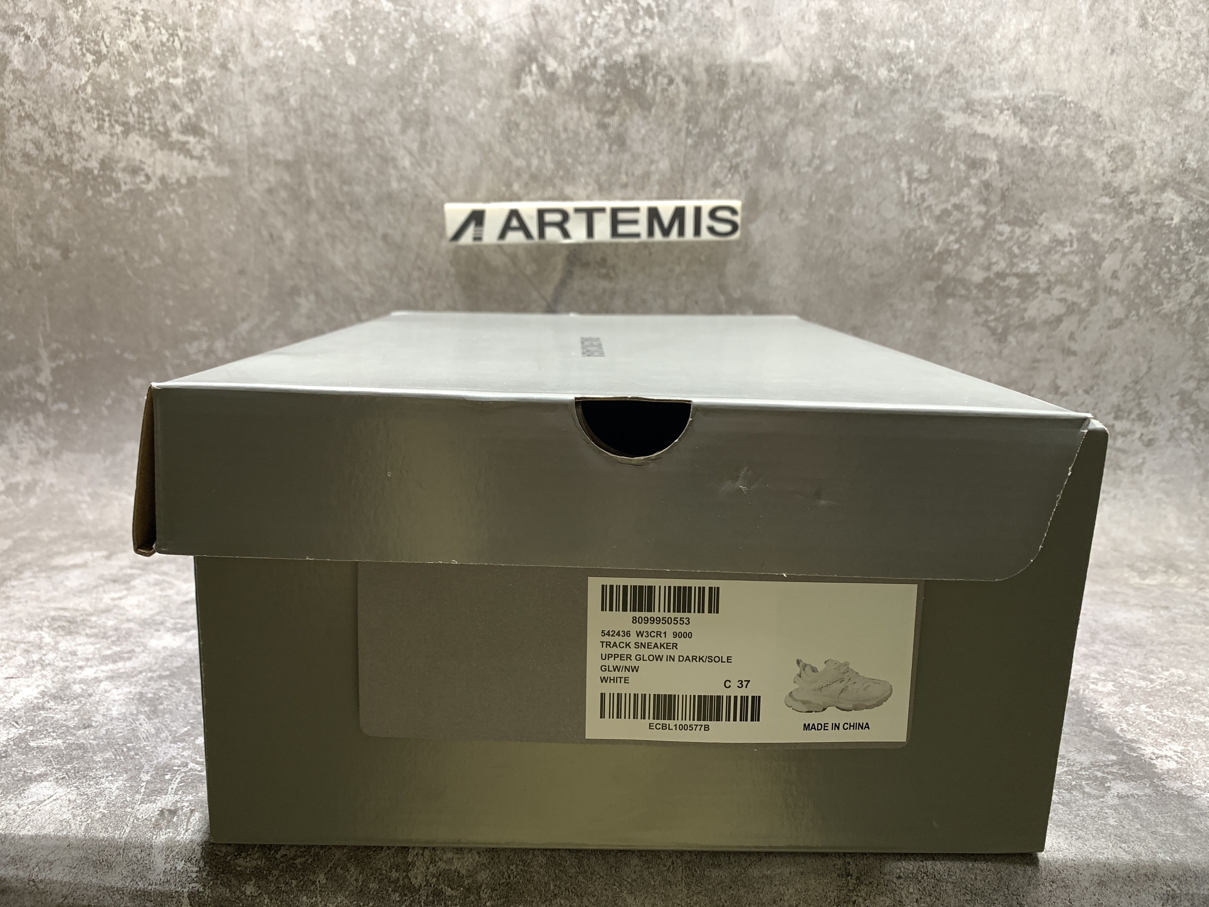 Balenciga Track Glow In Dark Sneaker