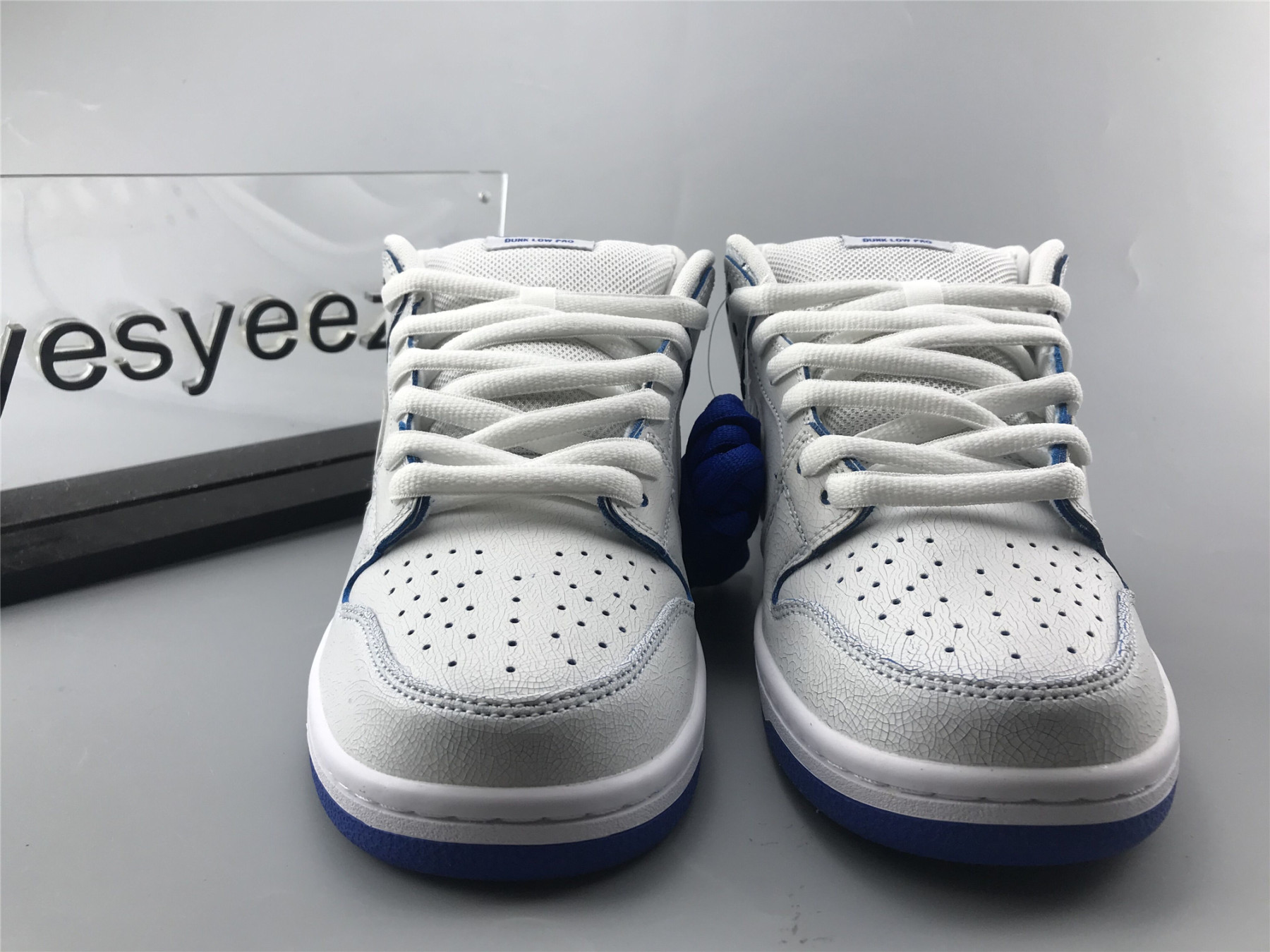 ua nike dunk low preM1vm sb