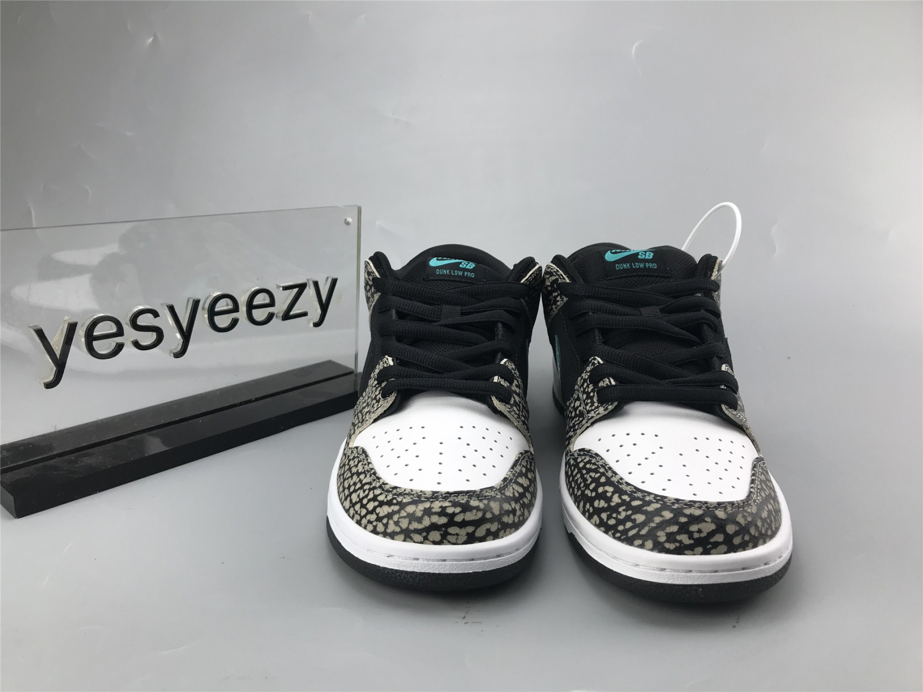 UA NIKE DUNK LOW PRO SB