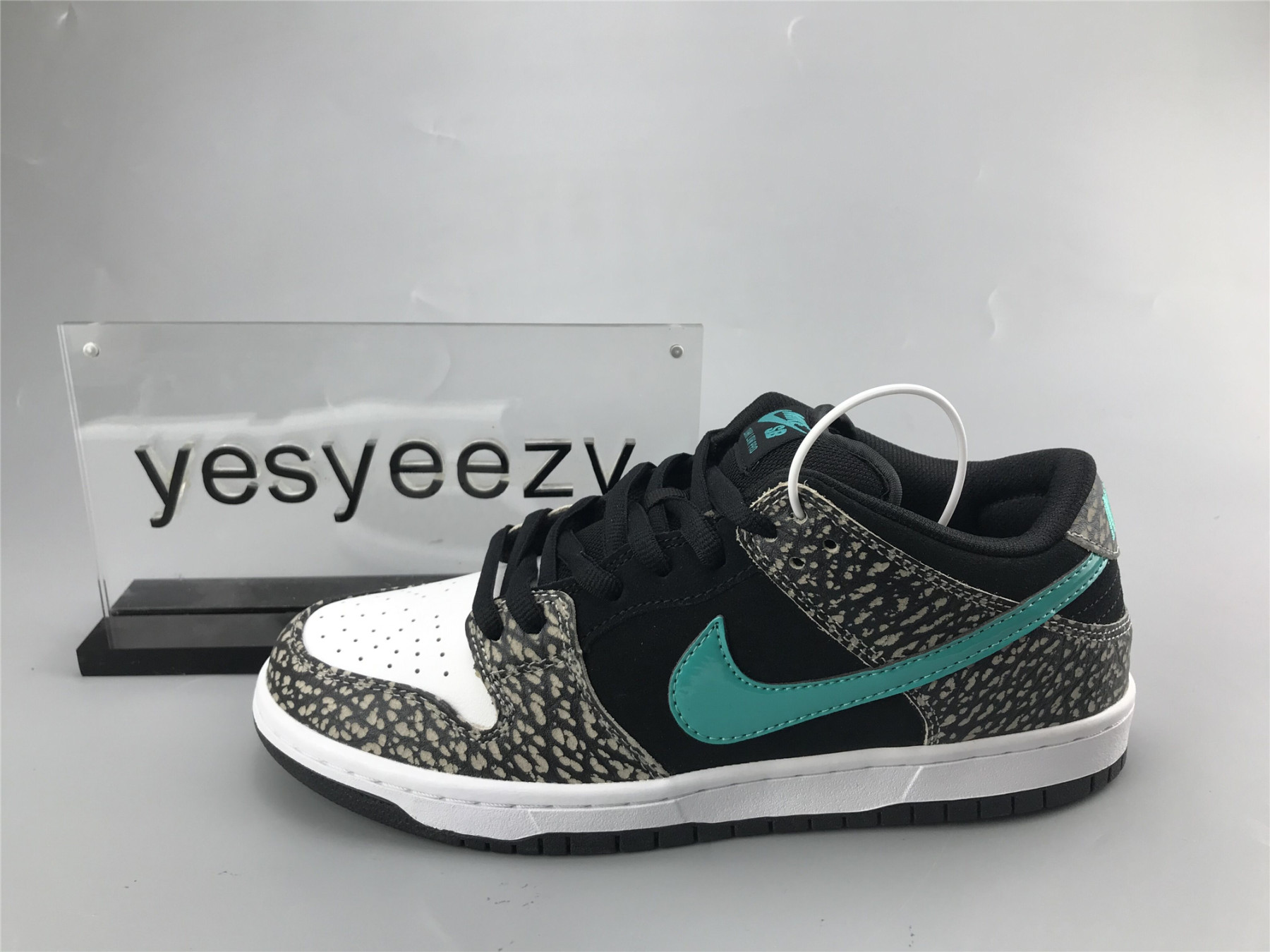 UA NIKE DUNK LOW PRO SB