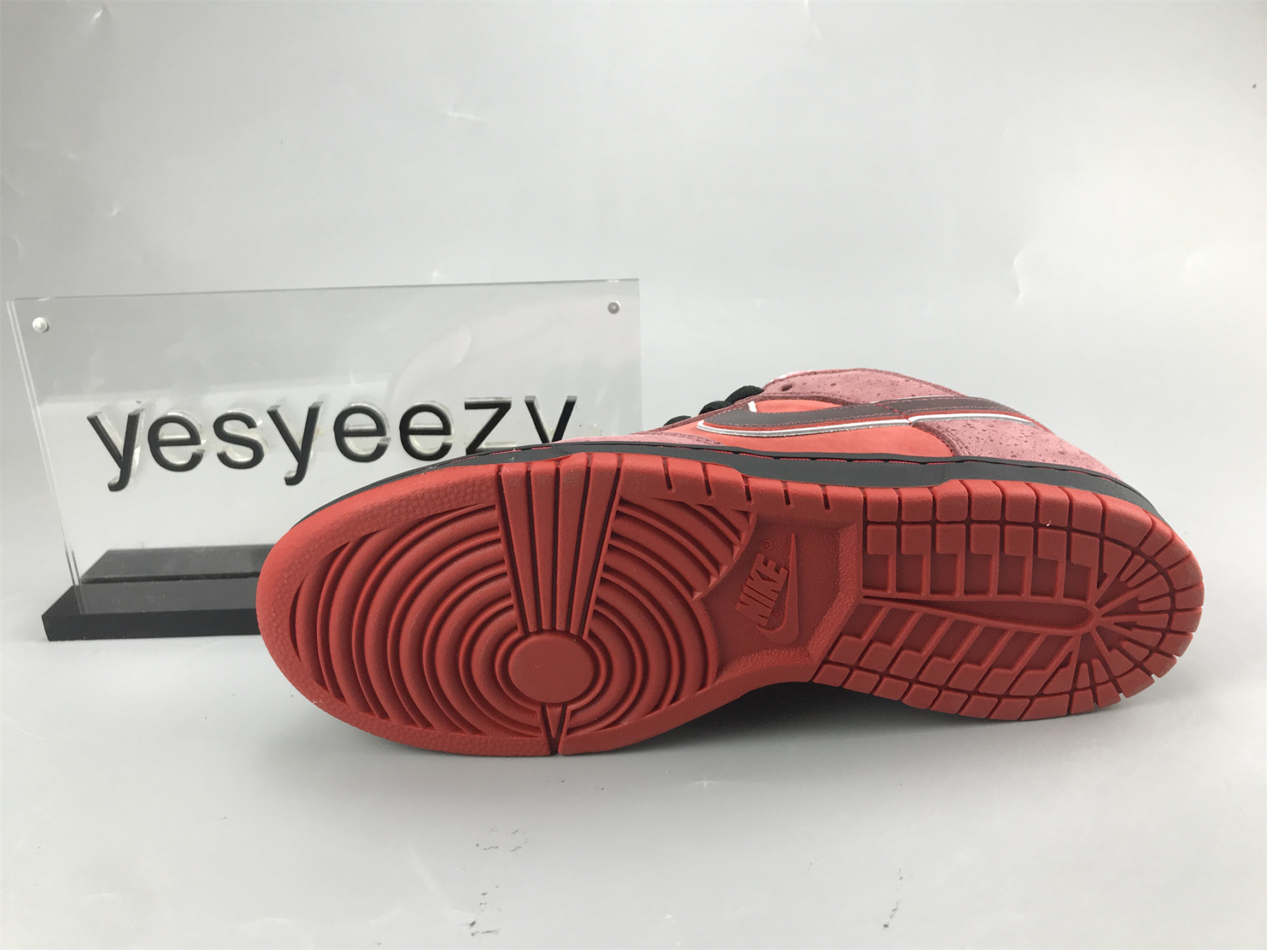 ua nike dunk low preM1vm sb