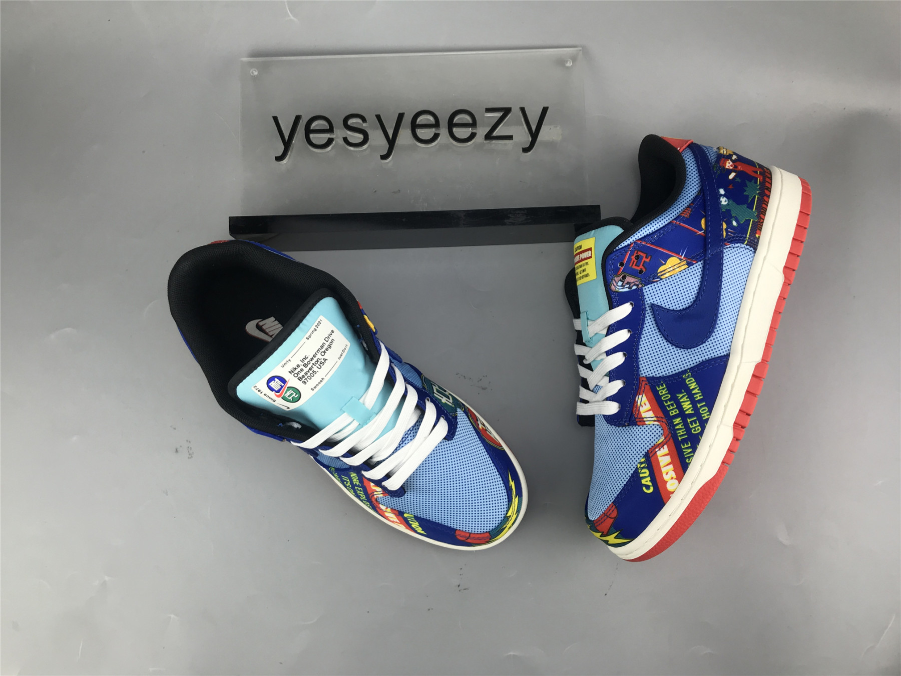 UA NIKE DUNK LOW 