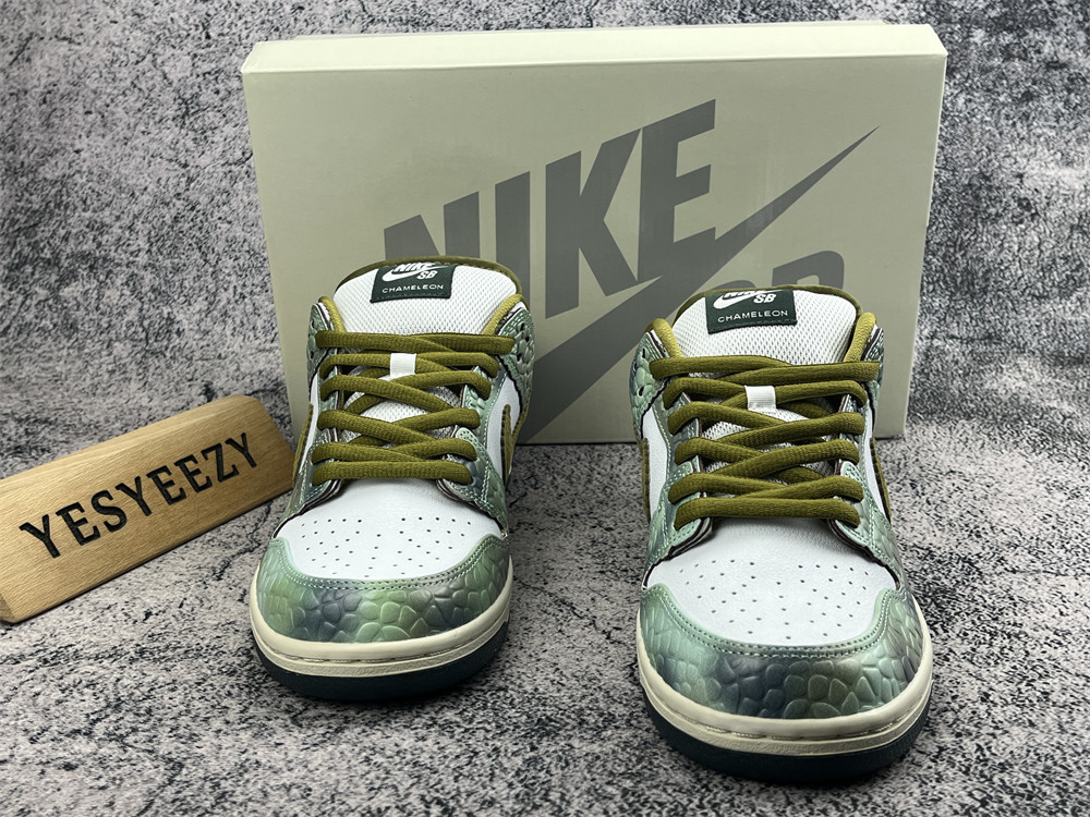 UA Nike SB Dunk Low