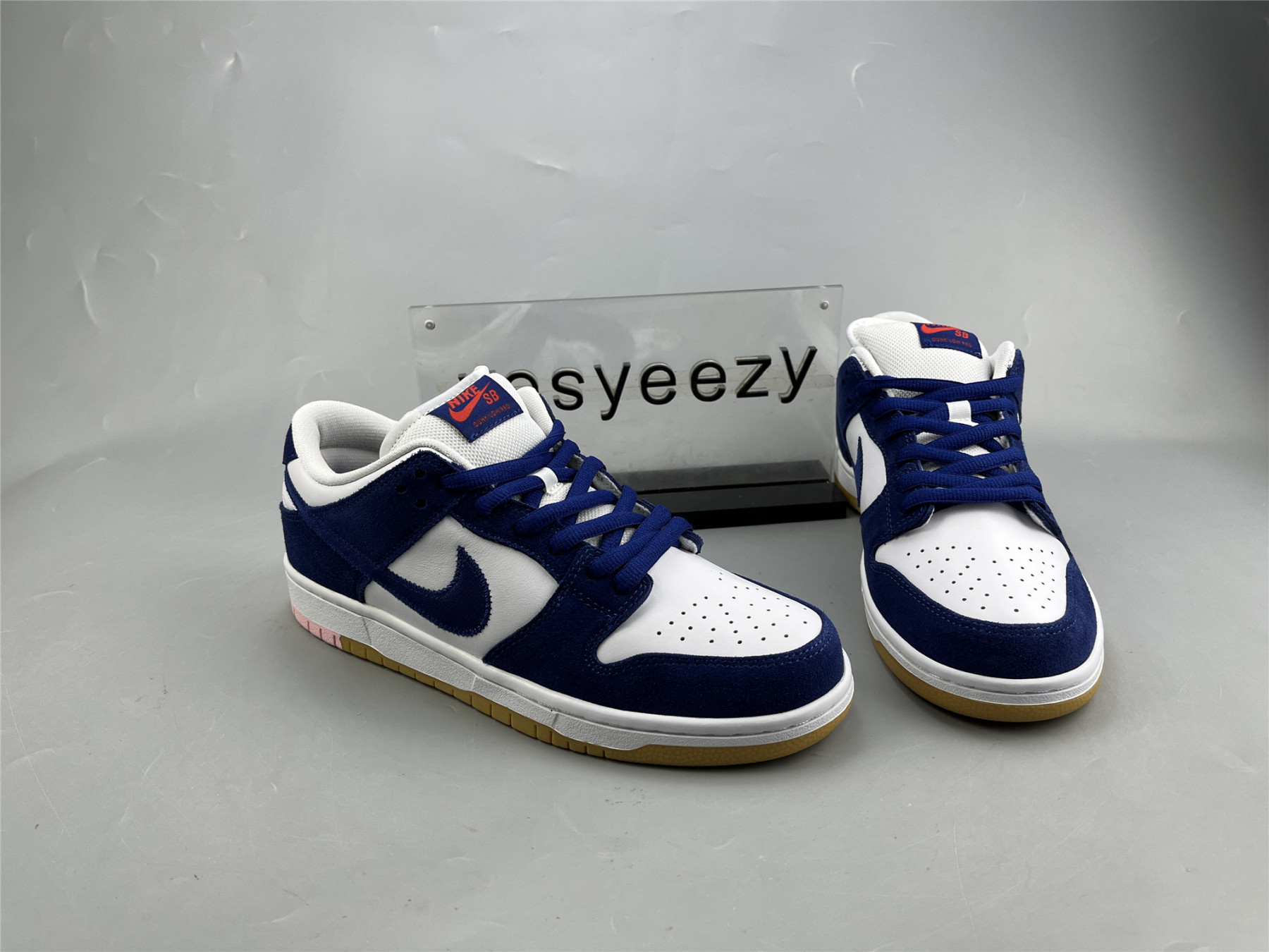 UA NIKE DUNK LOW SB
