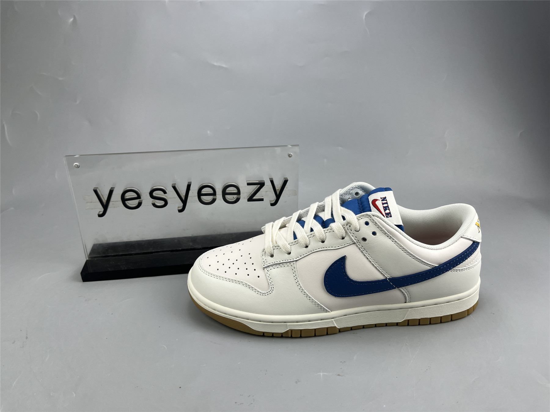 UA NIKE DUNK LOW SE