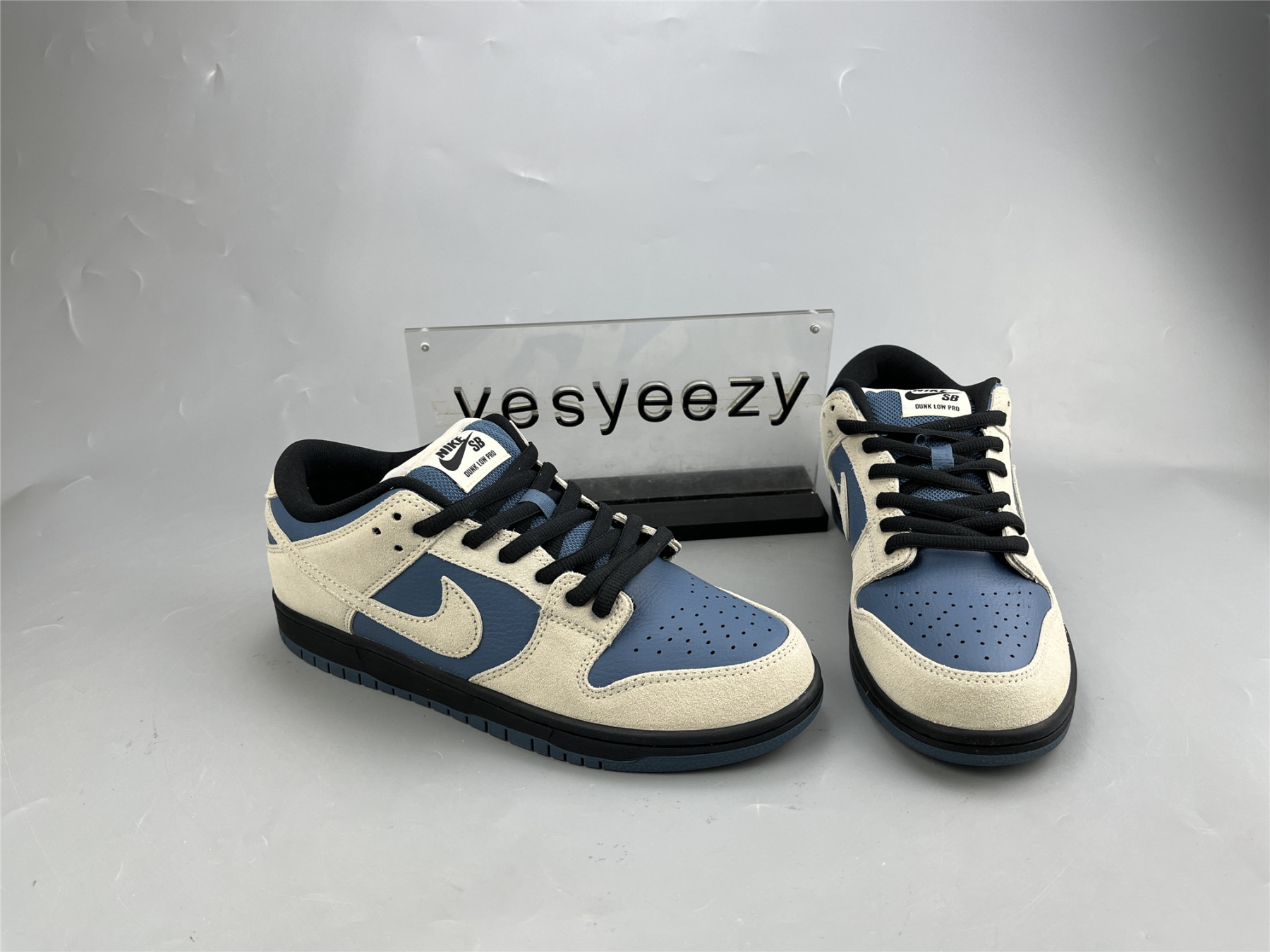 UA NIKE DUNK LOW PRO SB