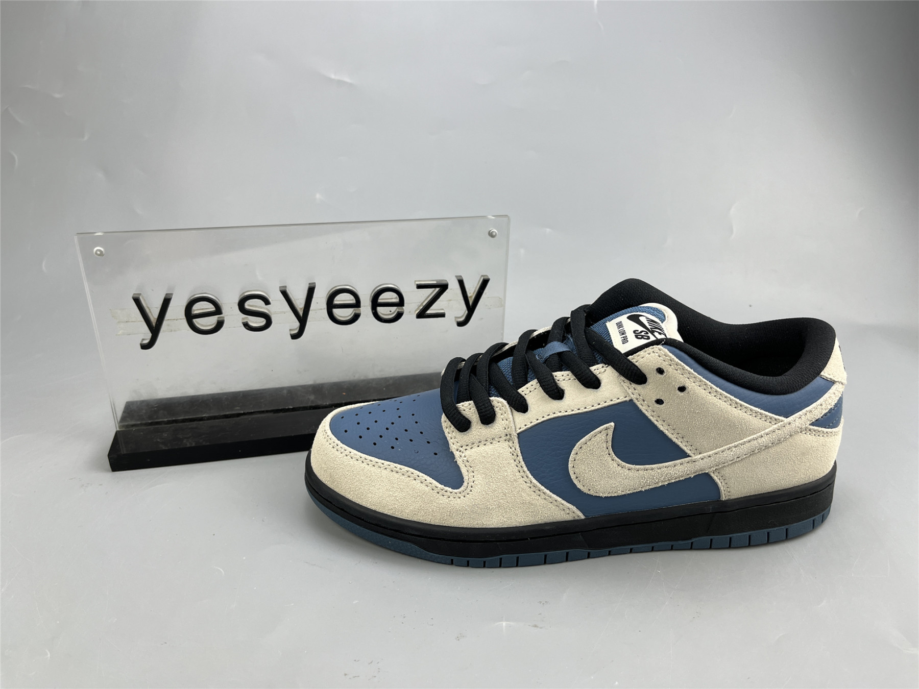 UA NIKE DUNK LOW PRO SB