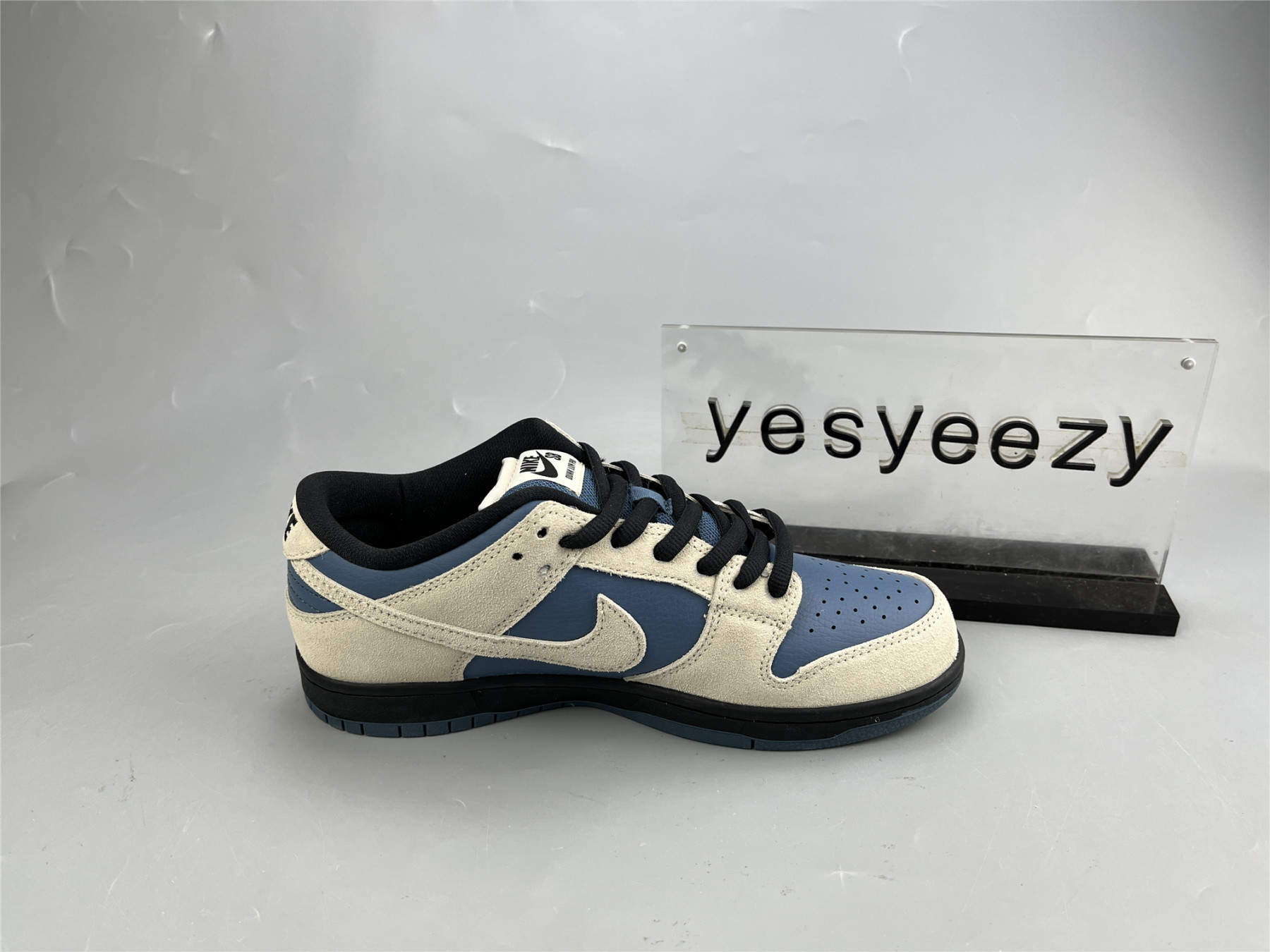 UA NIKE DUNK LOW PRO SB