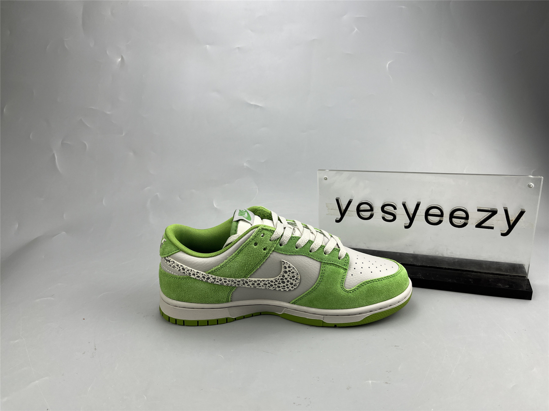 ua nike dunk low