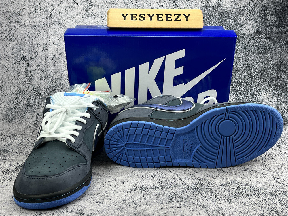ua nike dunk low preM1vm sb