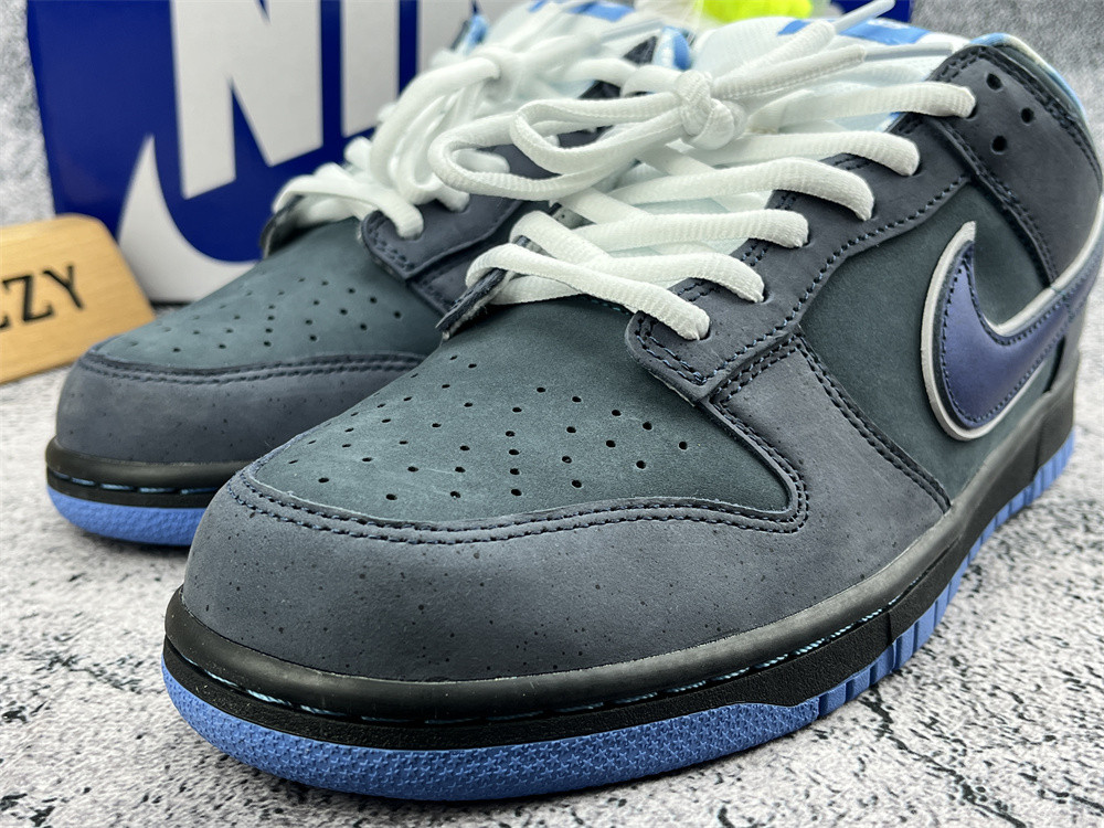 ua nike dunk low preM1vm sb
