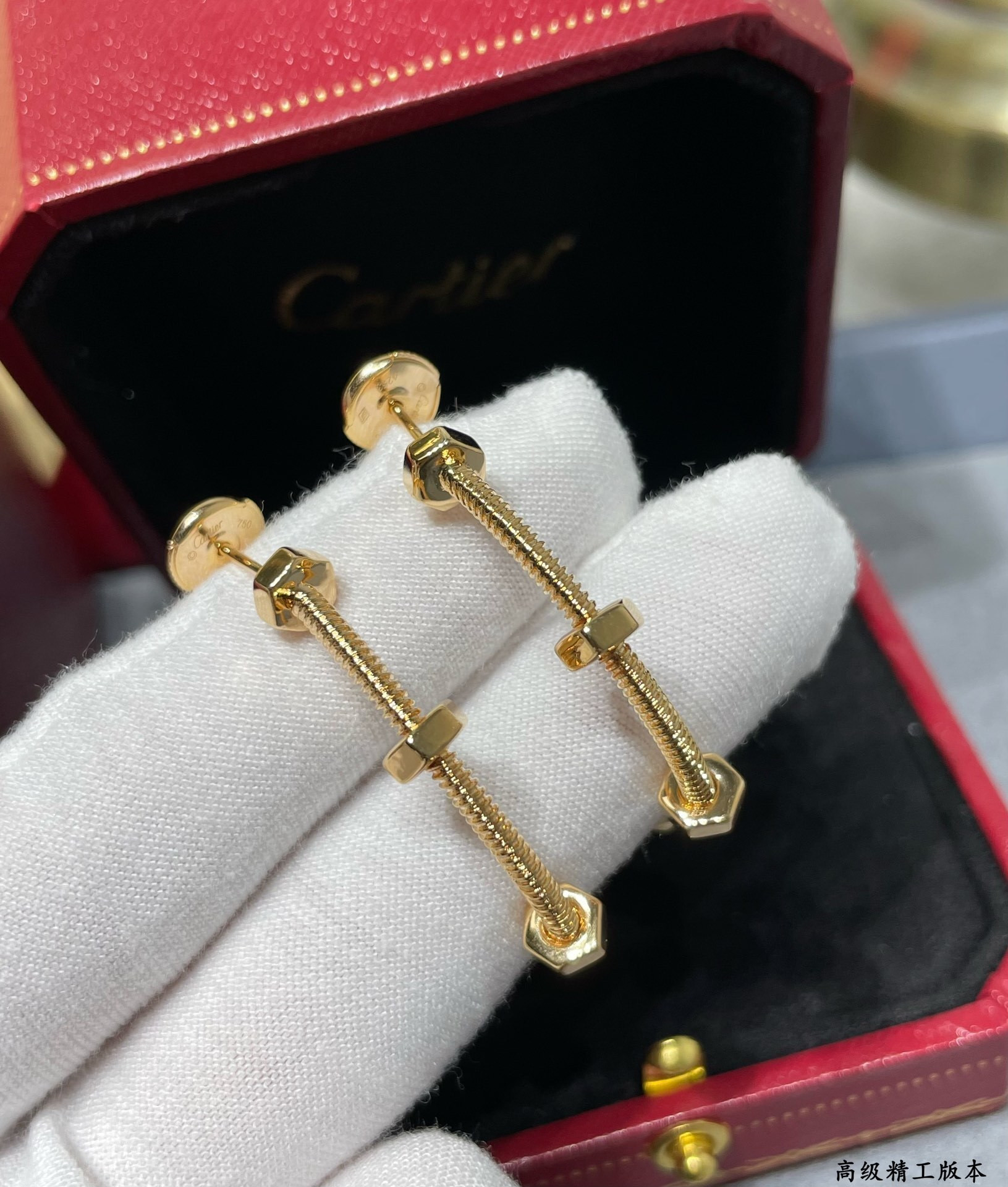 Ca*t1er Screw Earrings