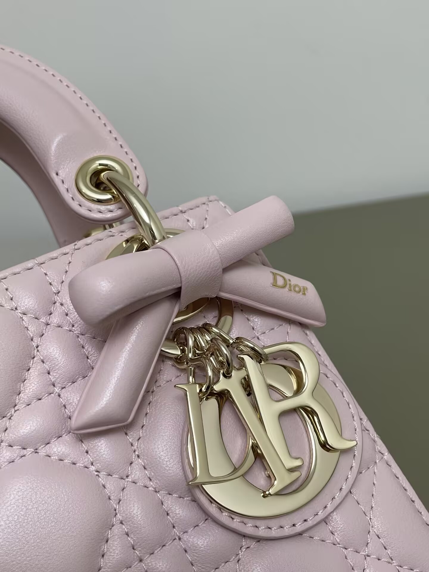 MINI LADY DIOR DIORAMOUR BAG 17x15x7cm