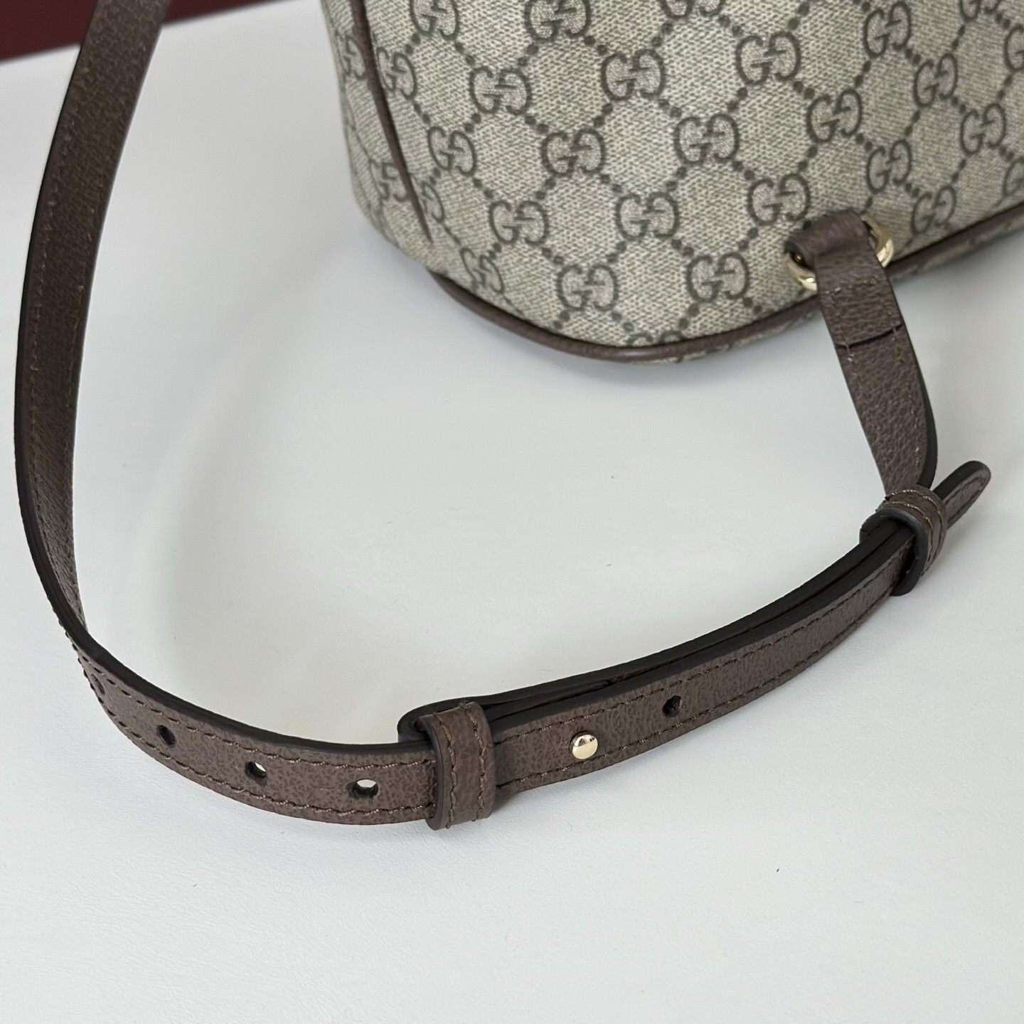 Gvc*1 Ophidia Medium Backpack 28x30x18cm