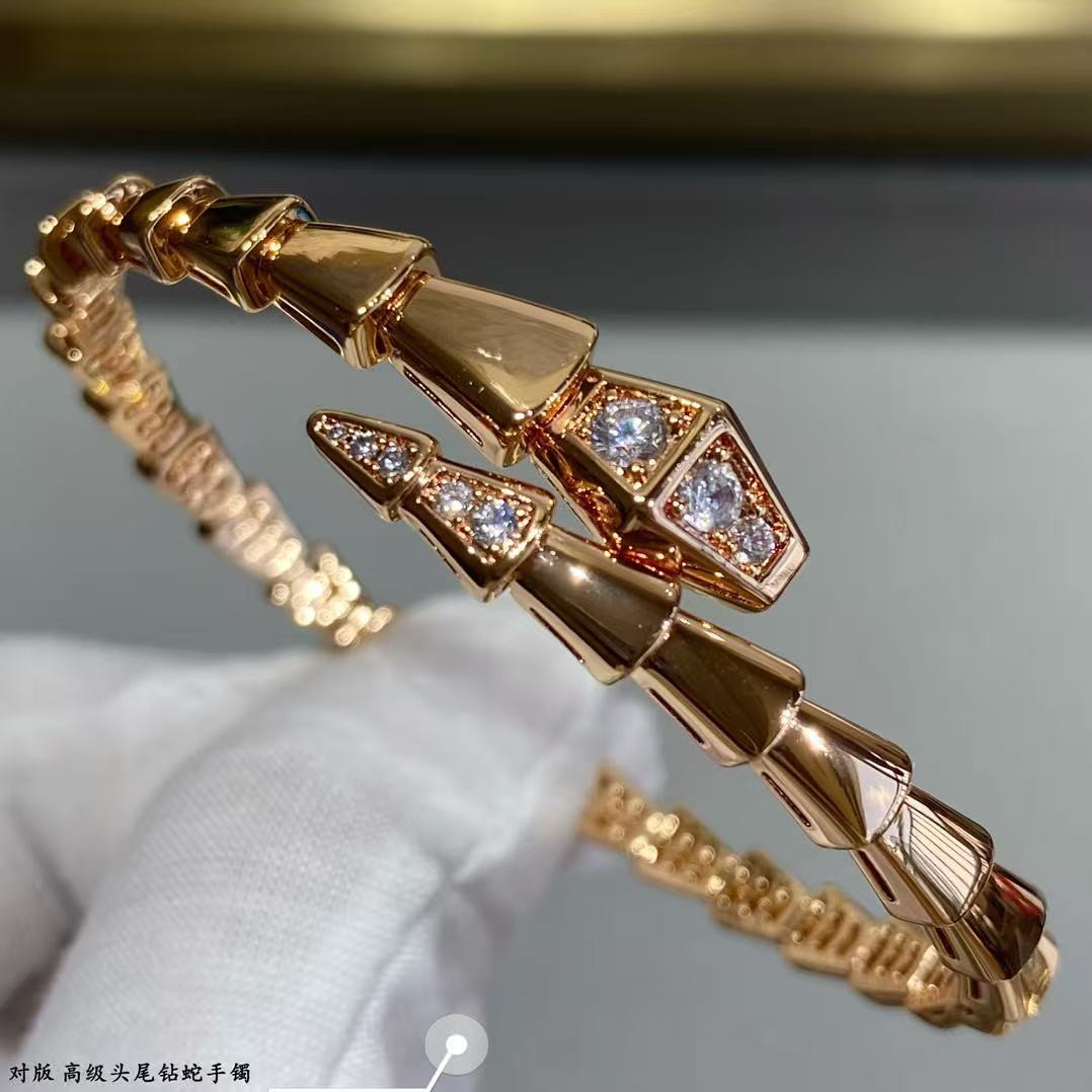 Bv1g*ai snake Bracelet
