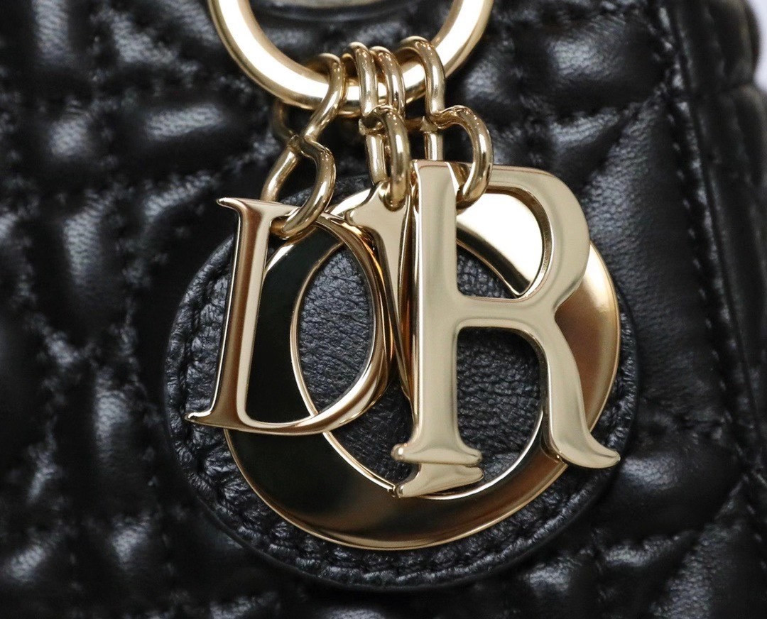 Mini Lady D10r Bag 17cm 6.5 x 6 x 3 inches