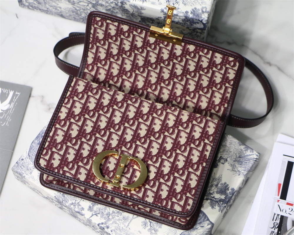 D10r 30 MONTAIGNE CHAIN BAG ROSERED 24x18x8 cm