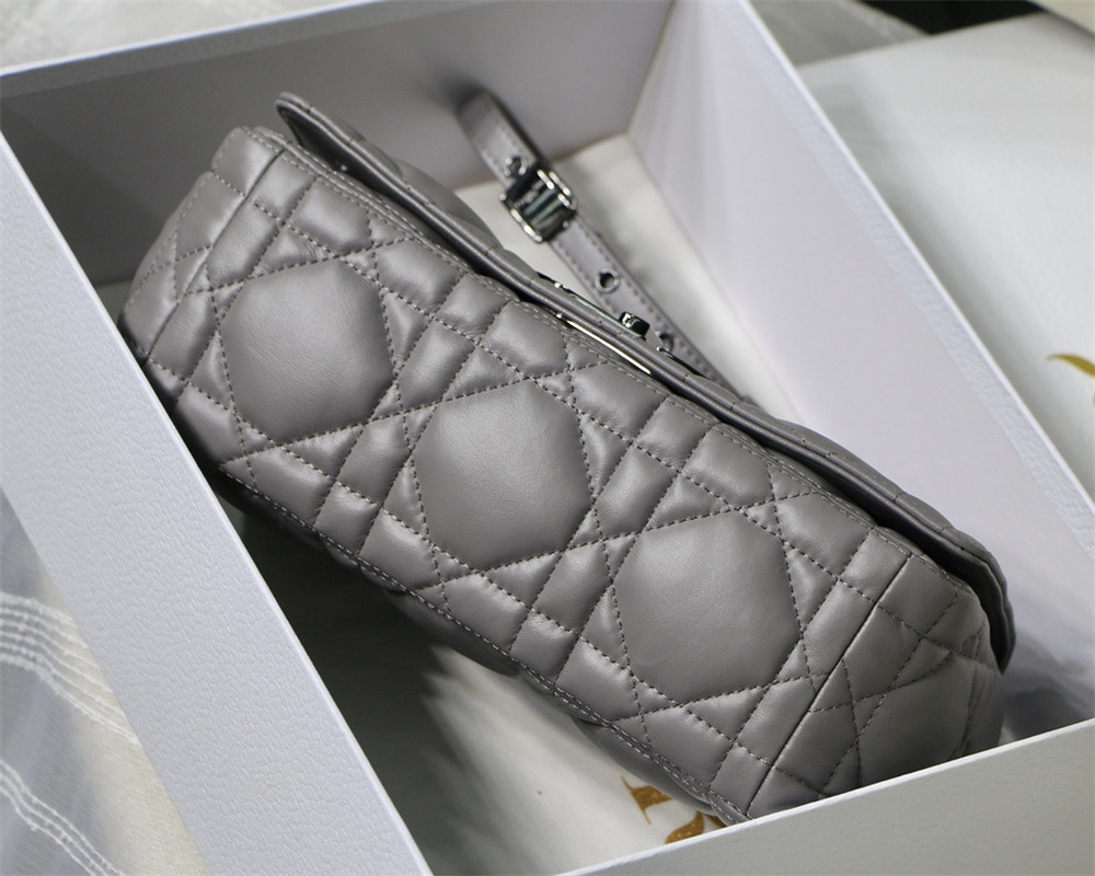 MEDIUM D10r CARO BAG Grey S*pple Cannage Calfskin With Black Hardware 25.5 x 15.5 x 8 cm