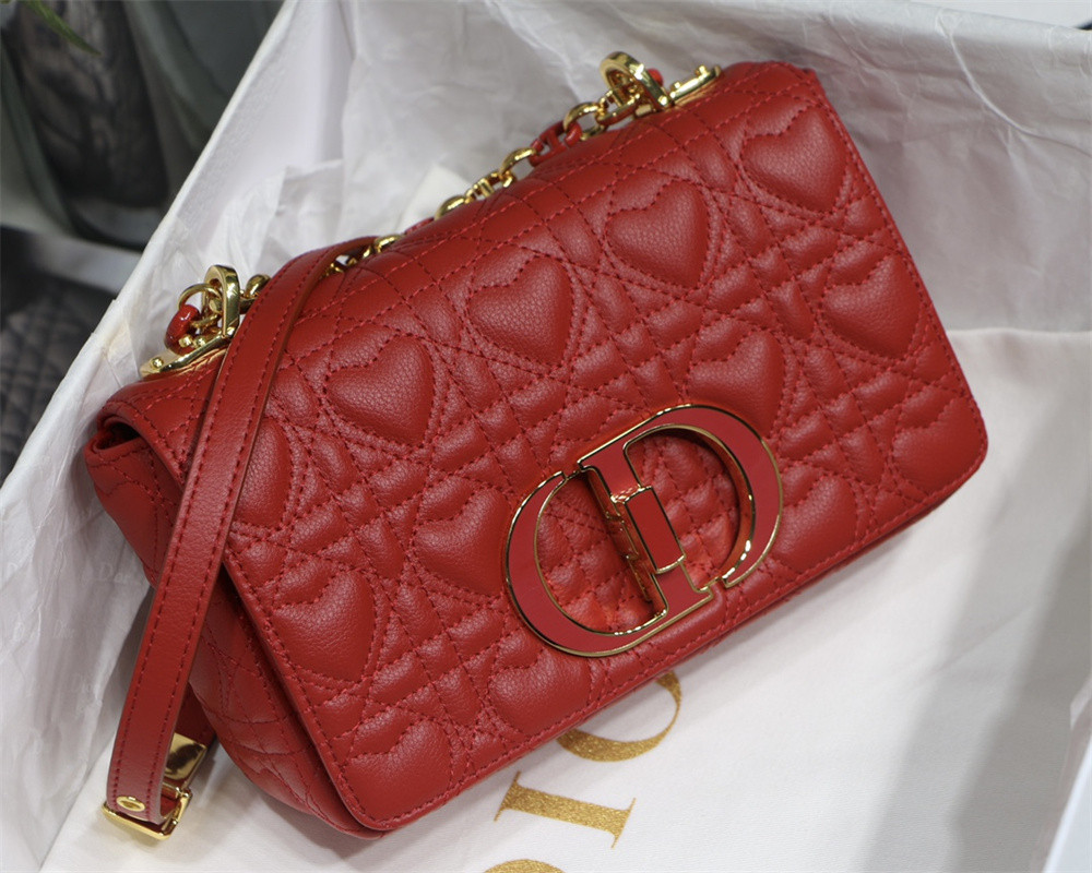SMALL D10r CARO BAG amour red 20 x 12 x 7 cm
