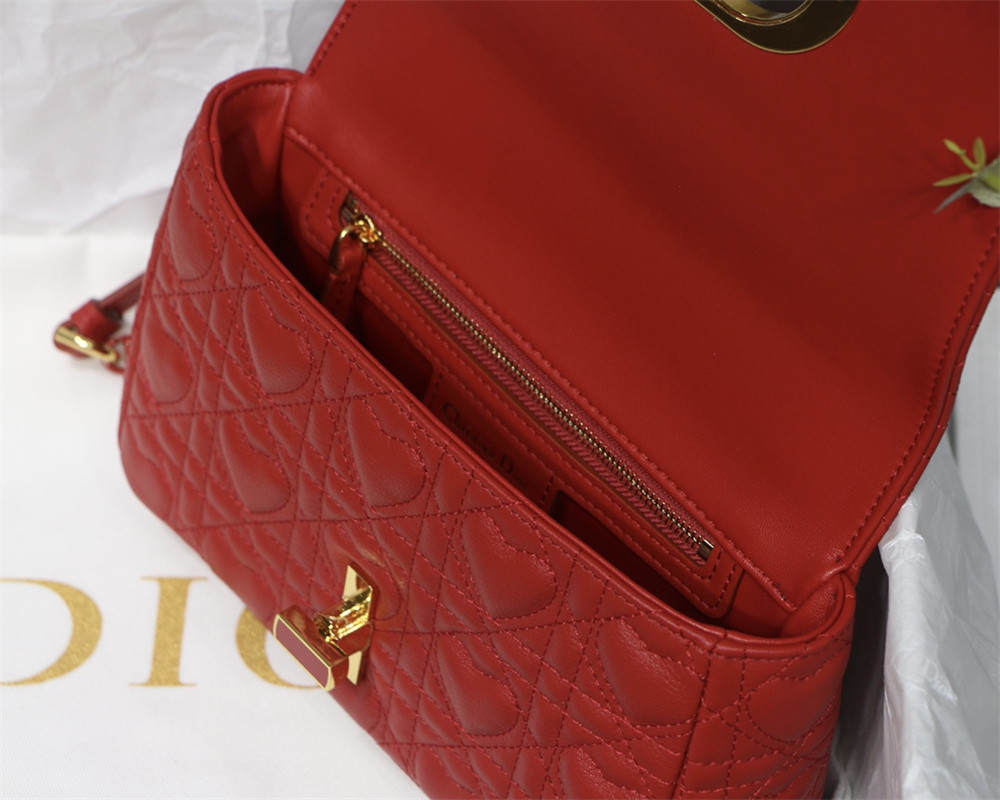 SMALL D10r CARO BAG amour red 20 x 12 x 7 cm