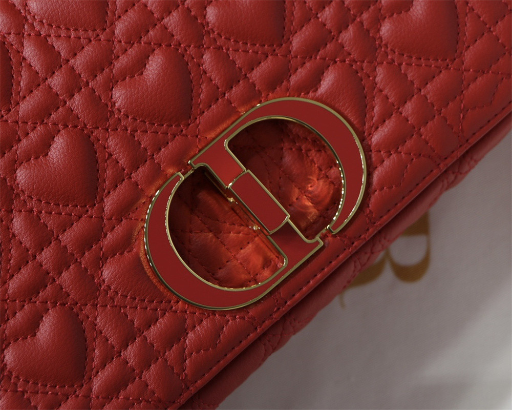 MEDIUM D10r CARO BAG amour red 25.5 x 15.5 x 8 cm