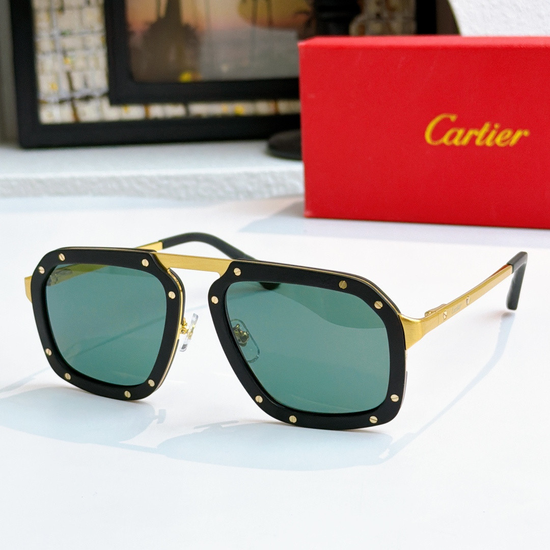 Ca*t1er glasses ct0573s 55-20-145