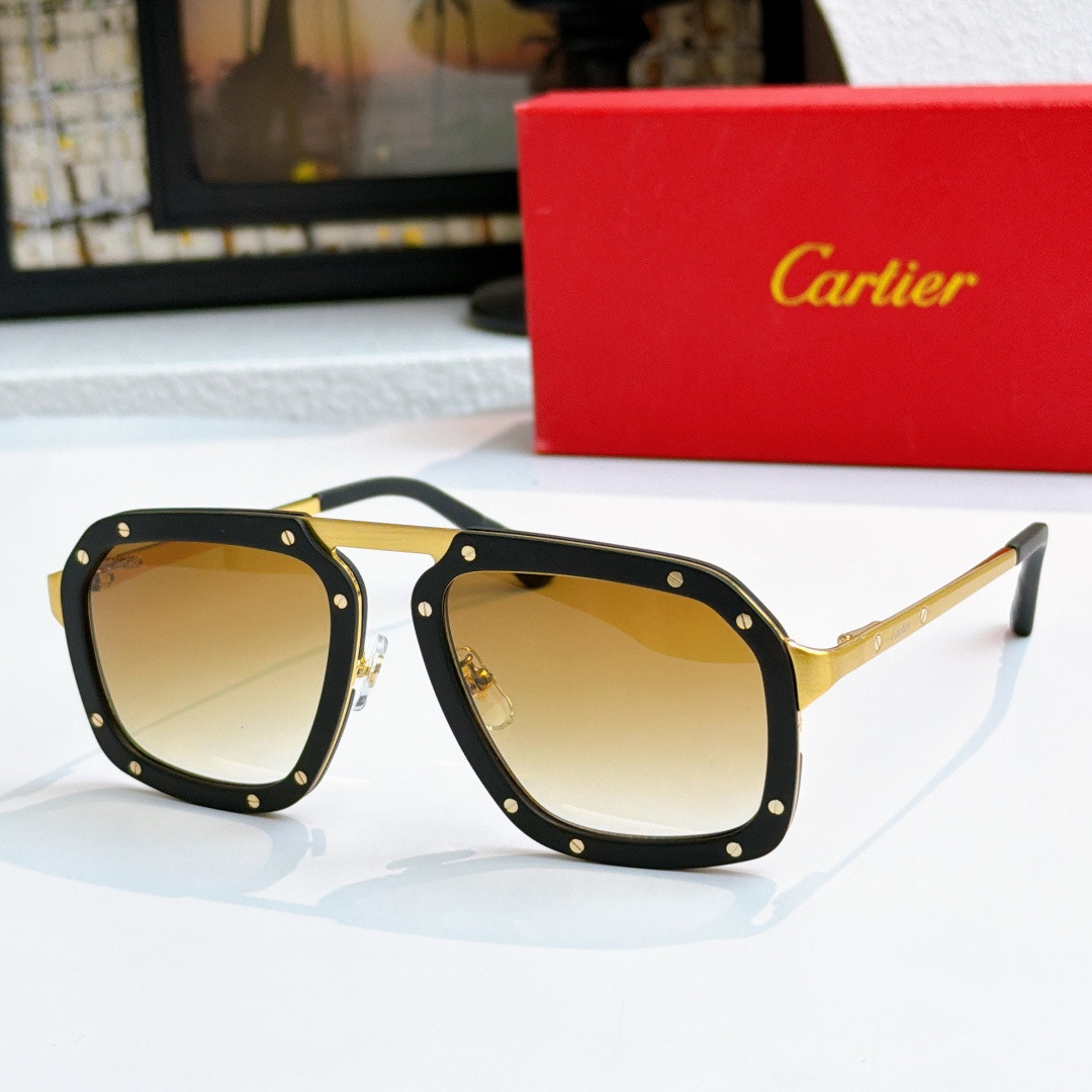 Ca*t1er glasses ct0573s 55-20-145