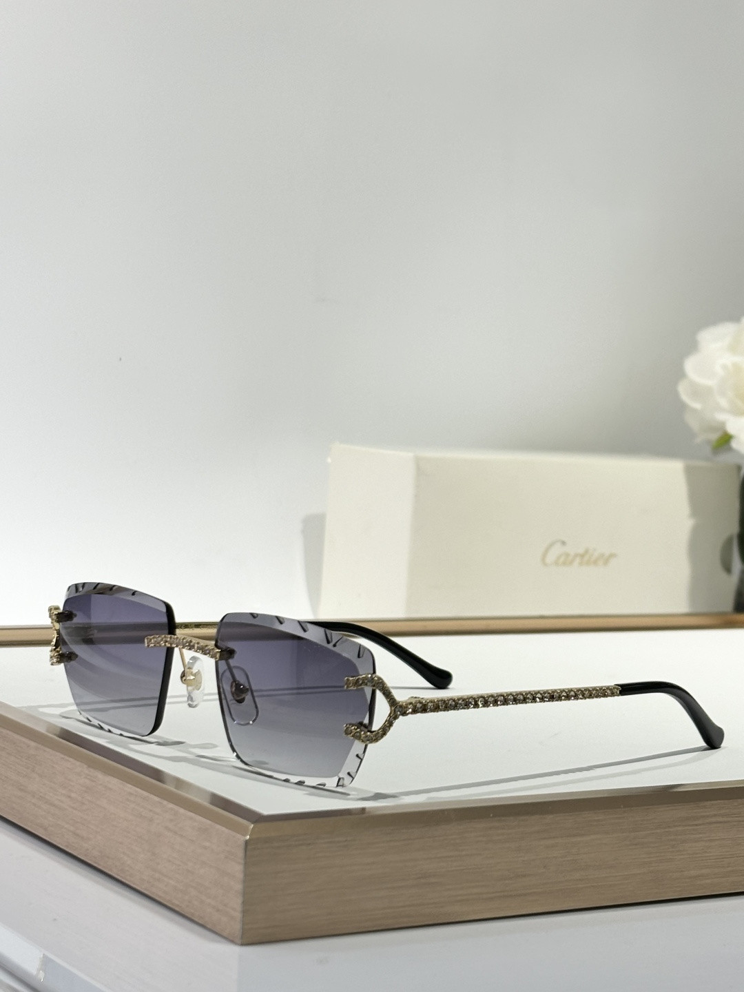 Ca*t1er glasses ct0662s 57-18-145
