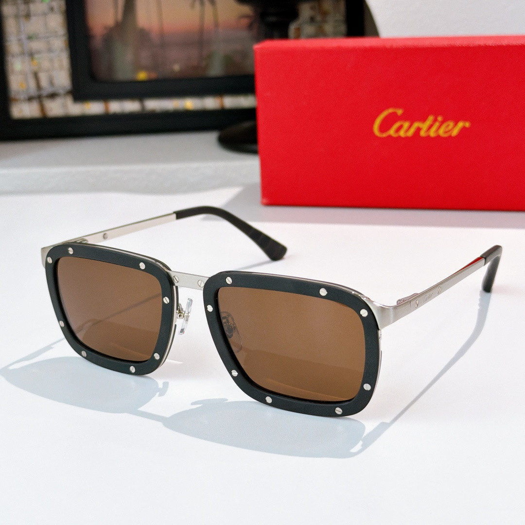 Ca*t1er glasses ct0577s 56-22-145