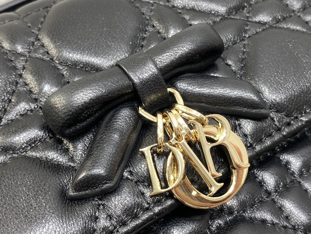 My Dior Mini Bag 21x11.5x4.5cm