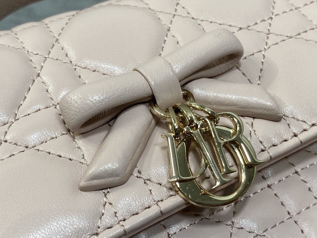 My Dior Mini Bag 21x11.5x4.5cm