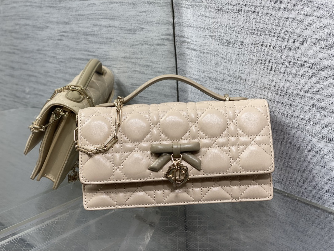 My Dior Mini Bag 21x11.5x4.5cm