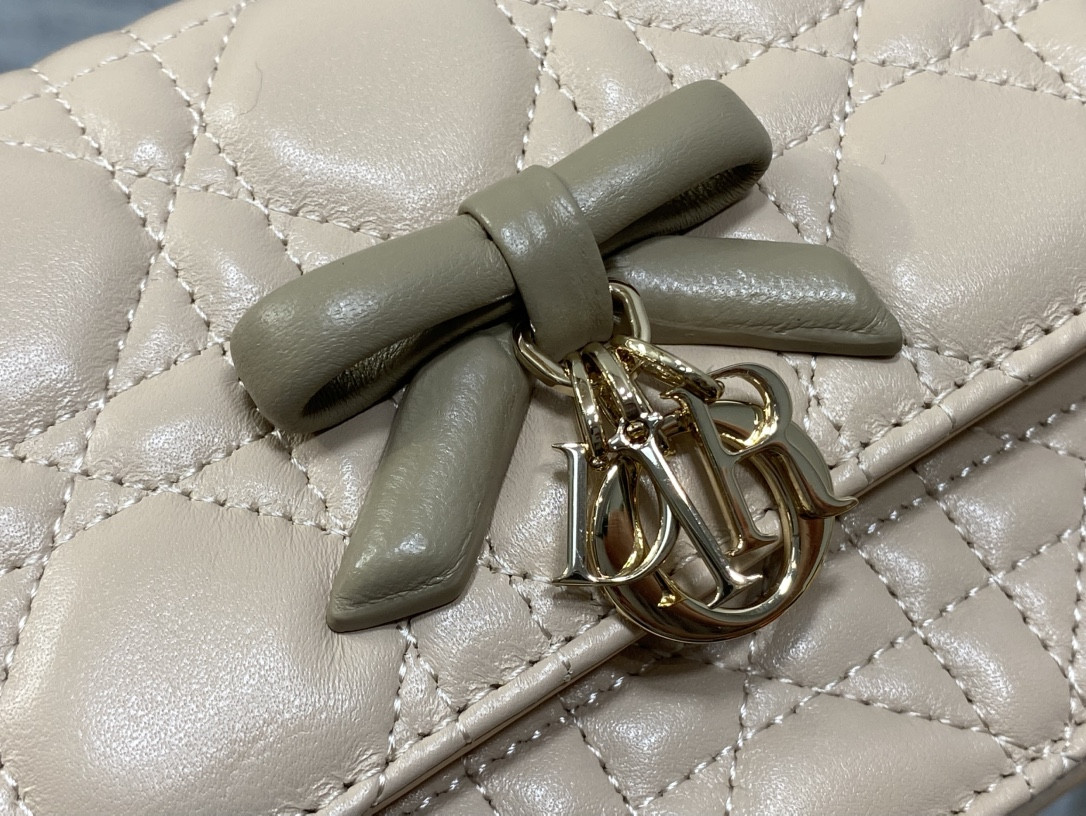 My Dior Mini Bag 21x11.5x4.5cm