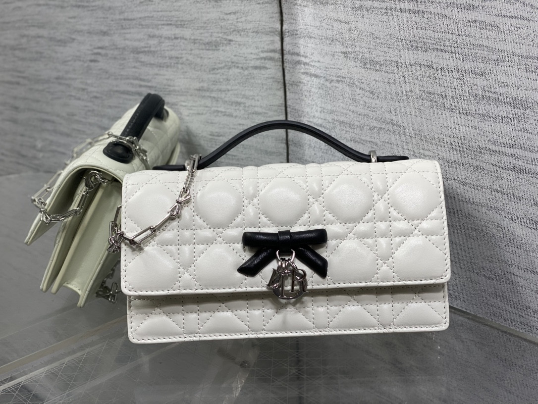 My Dior Mini Bag 21x11.5x4.5cm