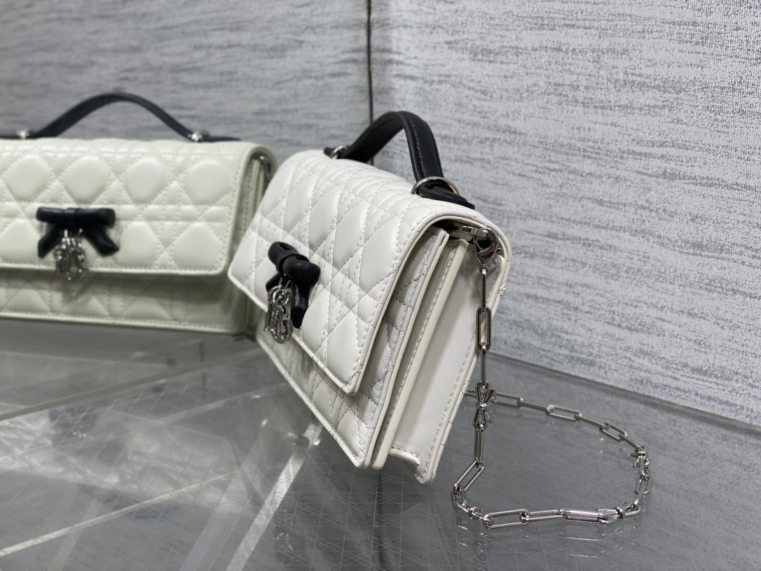 My Dior Mini Bag 21x11.5x4.5cm