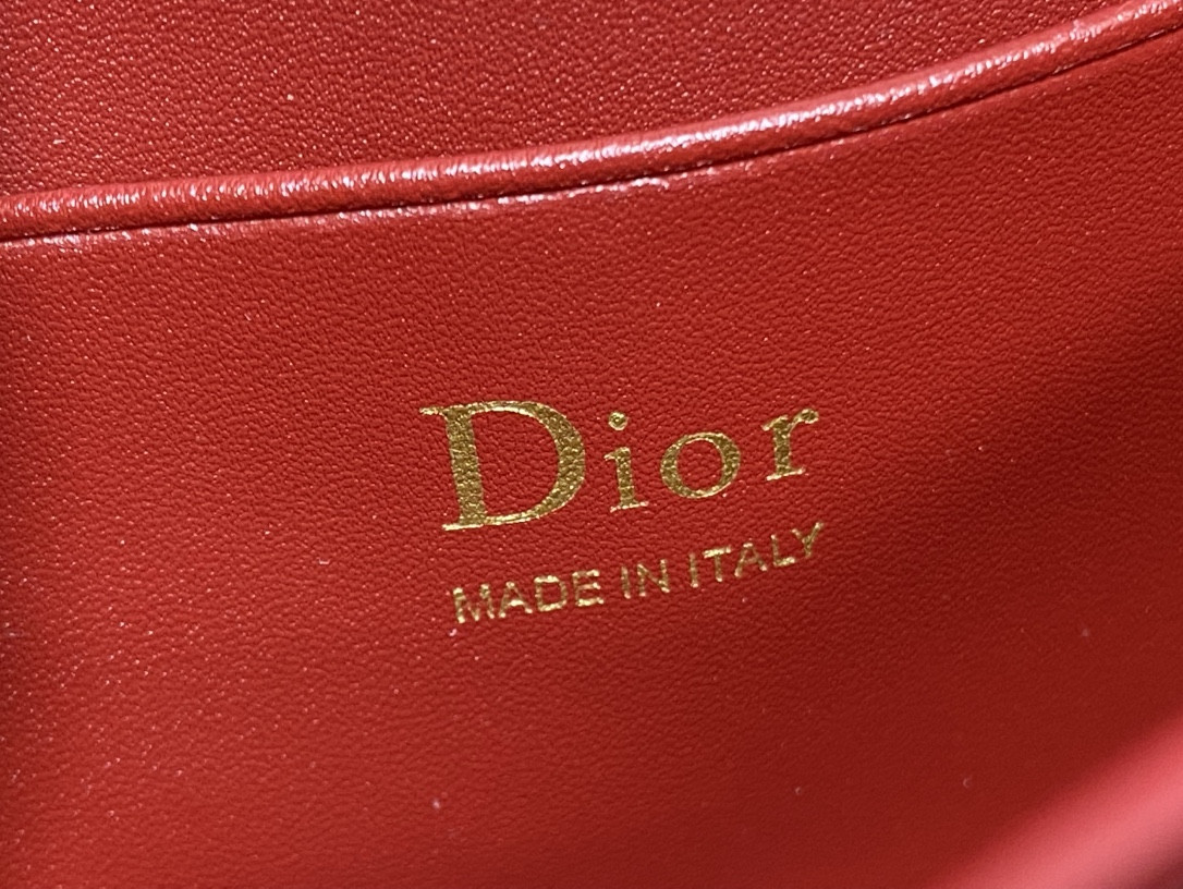 My Dior Mini Bag 21x11.5x4.5cm