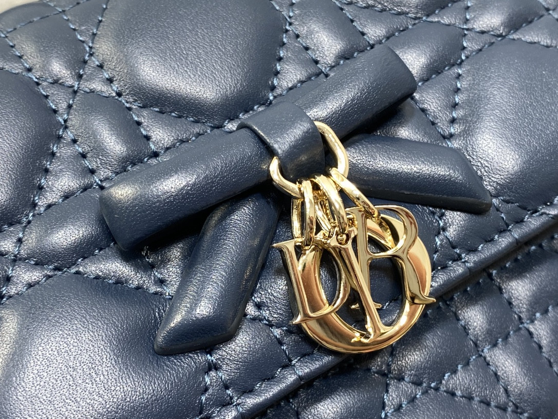 My Dior Mini Bag 21x11.5x4.5cm