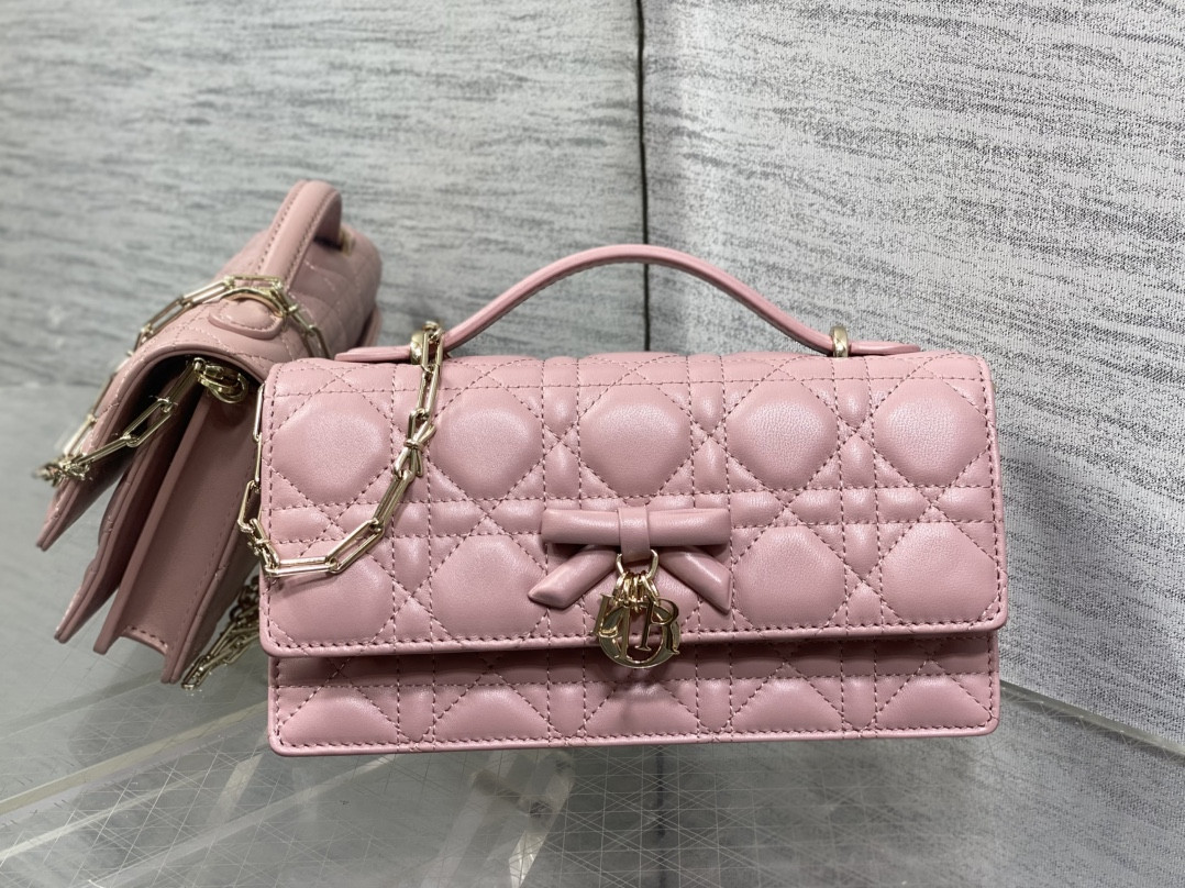 My Dior Mini Bag 21x11.5x4.5cm