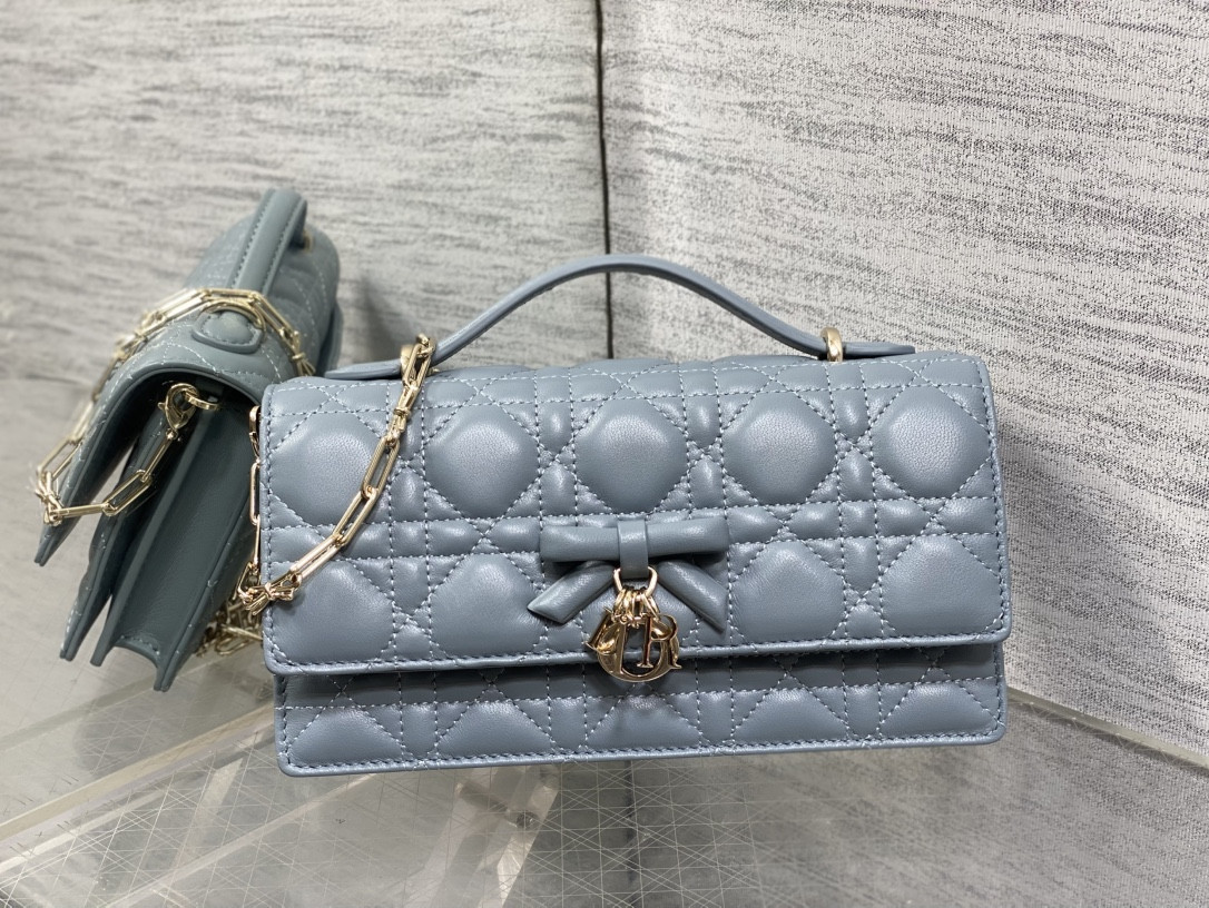 My Dior Mini Bag 21x11.5x4.5cm