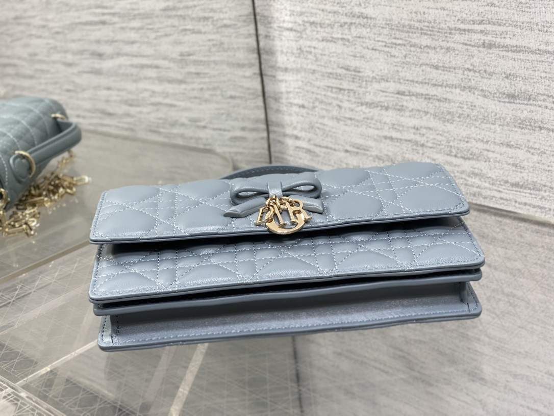 My Dior Mini Bag 21x11.5x4.5cm