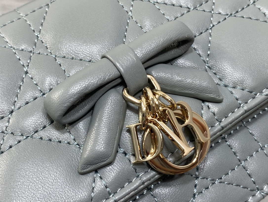 My Dior Mini Bag 21x11.5x4.5cm